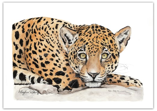 Leopard CR