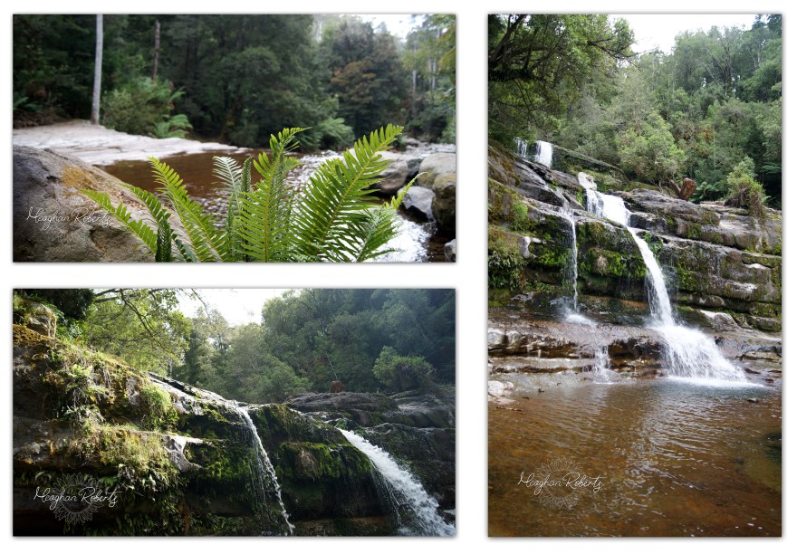 Liffey Falls