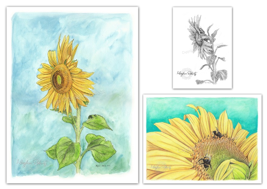 Sunflowers