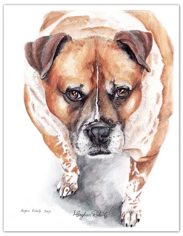 Wendy Graham Commission copyCR