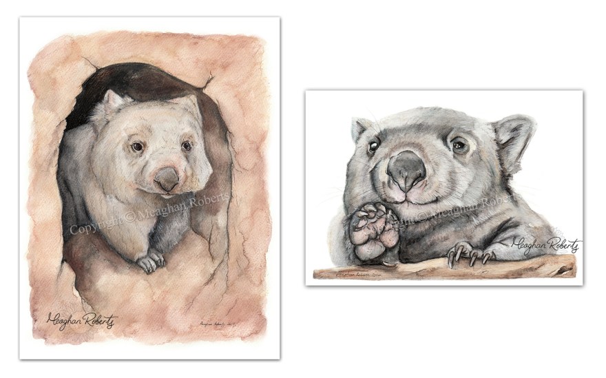 Wombats