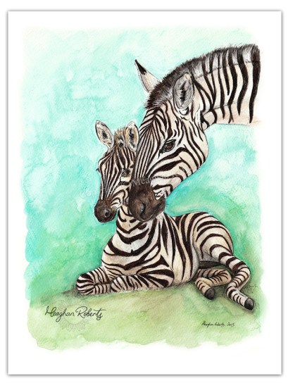Zebra and foal